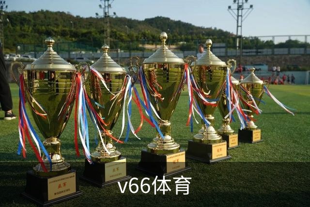 关于v66体育